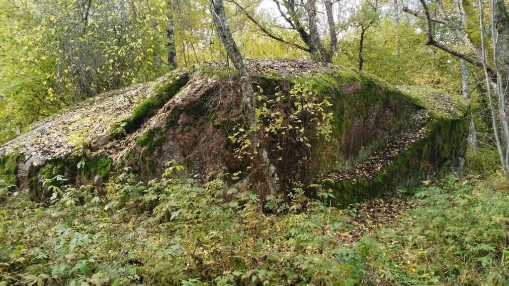 Kukka kivi, a large boulder on the island of Hiiumaa